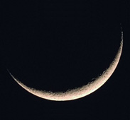 Moon Moon