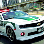 Dubai Police Dubai Police