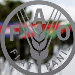 FAO- FAO-