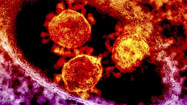 Handout transmission electron micrograph shows particles of the Middle East respiratory syndrome coronavirus