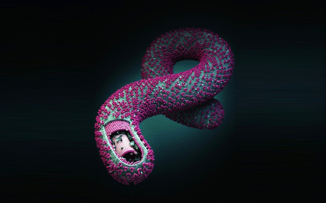 EBOLA