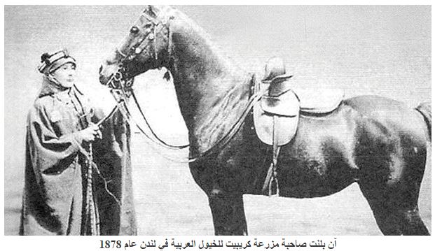 عبيه خيل الملك عبد العزيز